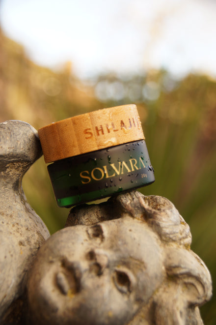 Pure Shilajit Resin