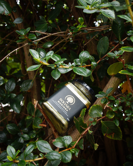 Moringa Leaf Powder
